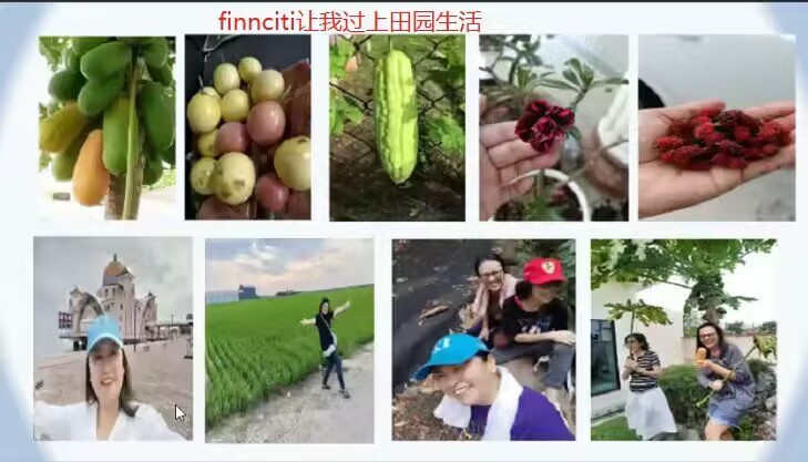 马来西亚玩家04.jpg